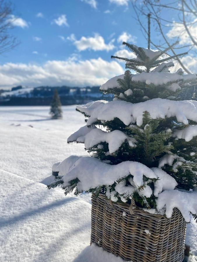 Alpen Wohlfuehlquartier Villa Bayersoien Dış mekan fotoğraf