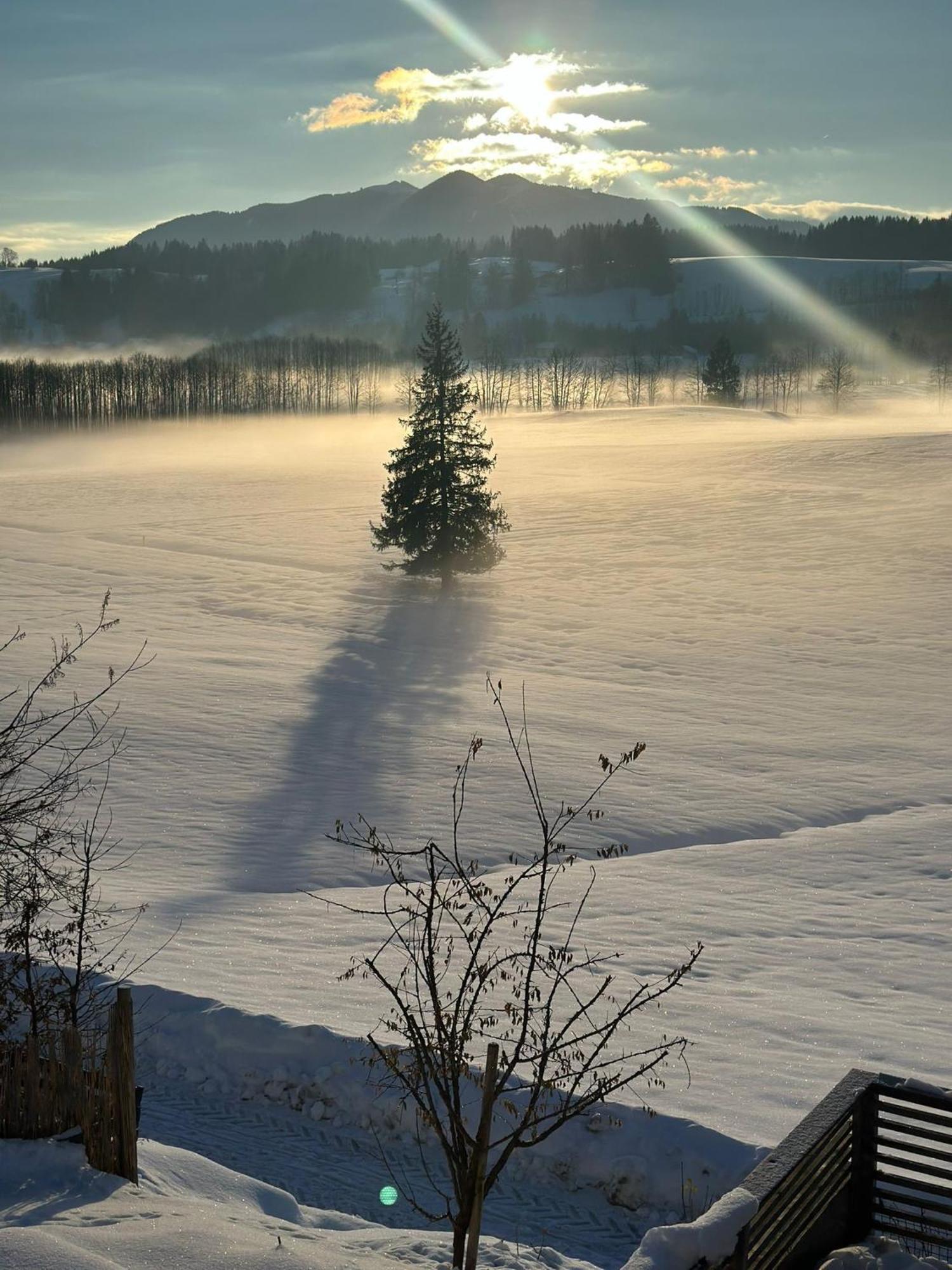 Alpen Wohlfuehlquartier Villa Bayersoien Dış mekan fotoğraf